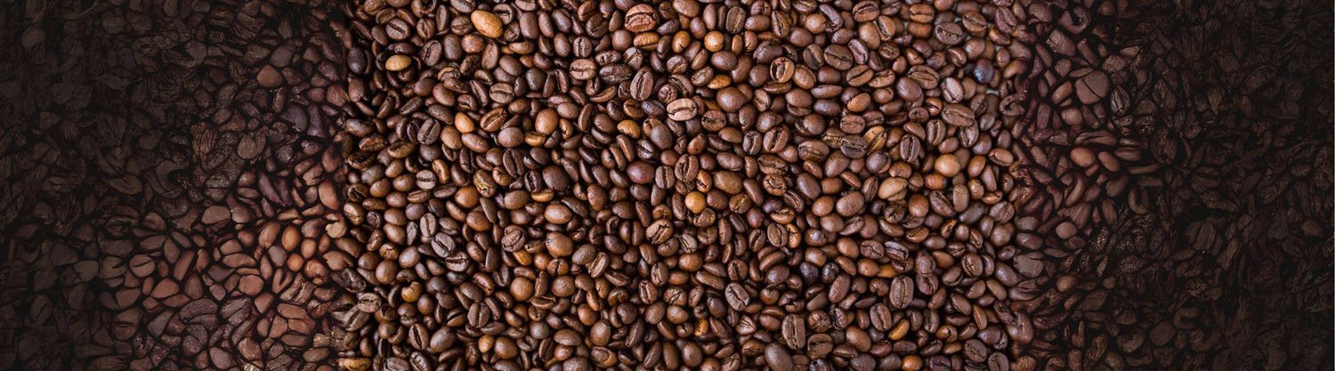Café de Especialidad y Gourmet